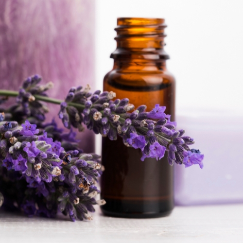 Lavender Oil