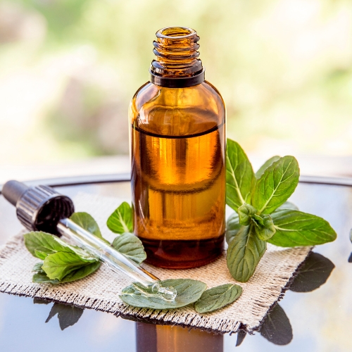 Eucalyptus Oil Manufacturers in Gujarat